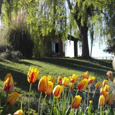 Agriturismo Quartopodere Magliano in Toscana Zewnętrze zdjęcie