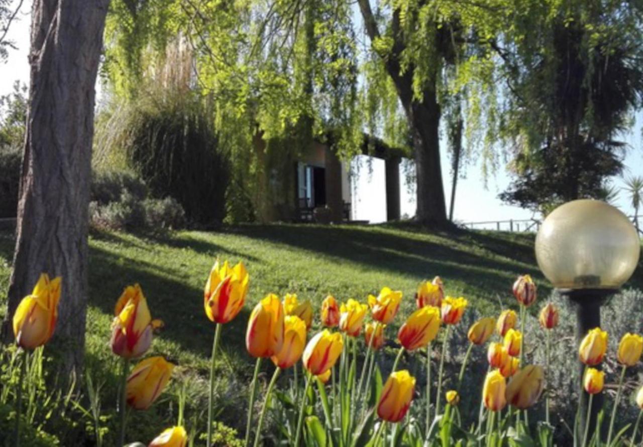 Willa Agriturismo Quartopodere Magliano in Toscana Zewnętrze zdjęcie