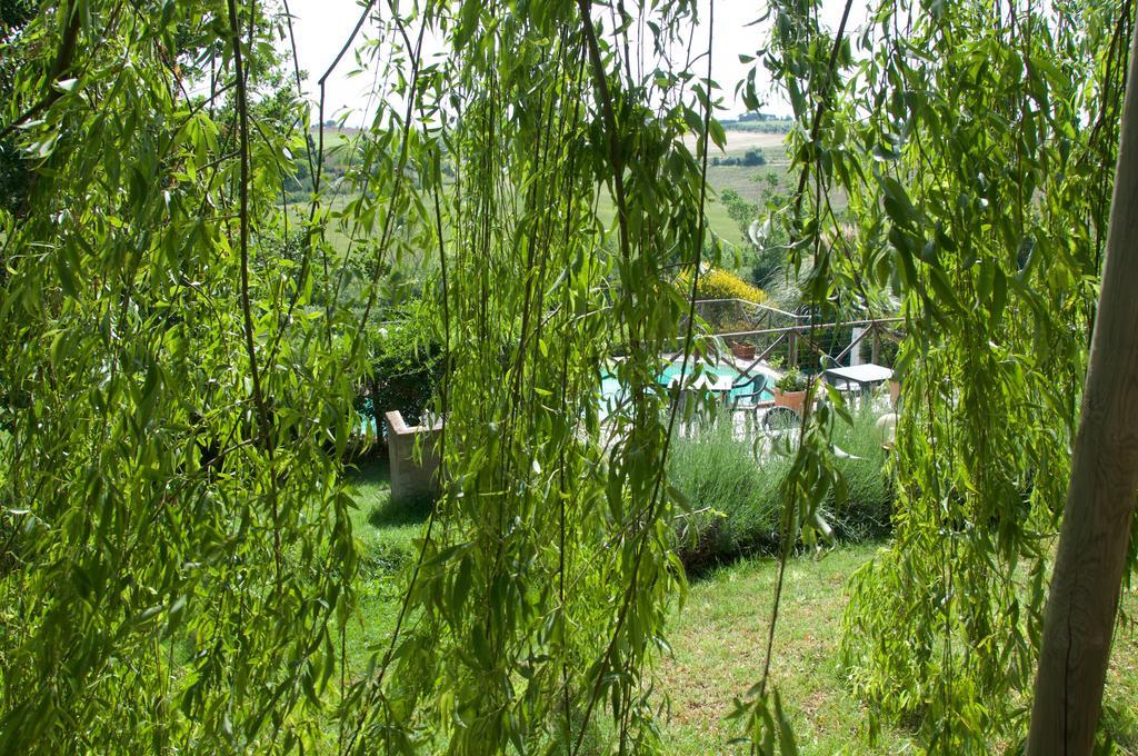 Agriturismo Quartopodere Magliano in Toscana Zewnętrze zdjęcie