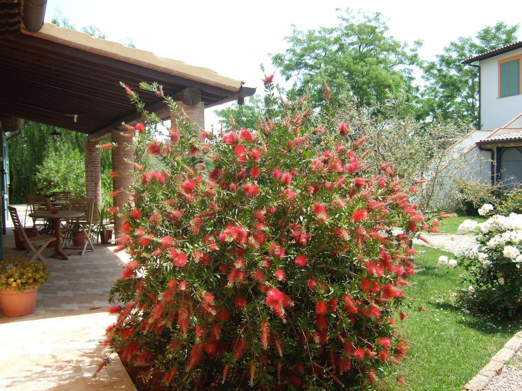 Agriturismo Quartopodere Magliano in Toscana Zewnętrze zdjęcie